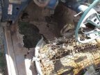 Thumbnail Photo 3 for 1960 Chevrolet El Camino