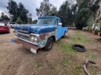 Thumbnail Photo 1 for 1960 Ford F100