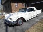 Thumbnail Photo 1 for 1960 Ford Thunderbird