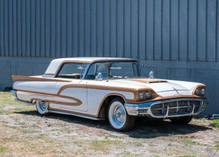 Photo 1 for 1960 Ford Thunderbird