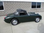 Thumbnail Photo 2 for 1961 Austin-Healey Other Austin-Healey Models
