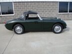Thumbnail Photo 1 for 1961 Austin-Healey Other Austin-Healey Models