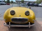 Thumbnail Photo 5 for 1961 Austin-Healey Sprite