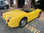 Thumbnail Photo 1 for 1961 Austin-Healey Sprite
