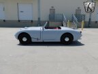 Thumbnail Photo 5 for 1961 Austin-Healey Sprite