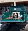 Thumbnail Photo 4 for 1961 Chevrolet Apache