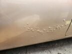 Thumbnail Photo 5 for 1961 Chevrolet Corvair