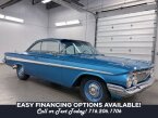 Thumbnail Photo 4 for 1961 Chevrolet Impala