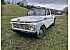 1961 Ford F100