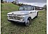 1961 Ford F100