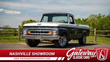 1961 Ford F100