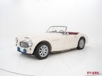 Thumbnail Photo 1 for 1962 Austin-Healey 3000MKII