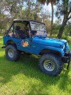 Thumbnail Photo 1 for 1962 Jeep Other Jeep Models