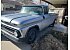 1963 Chevrolet C/K Truck
