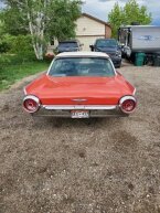 Thumbnail Photo 6 for 1963 Ford Thunderbird