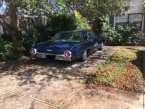 Thumbnail Photo 1 for 1963 Ford Thunderbird