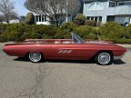Thumbnail Photo 6 for 1963 Ford Thunderbird