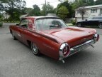 Thumbnail Photo 3 for 1963 Ford Thunderbird
