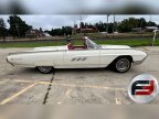 Thumbnail Photo 1 for 1963 Ford Thunderbird