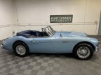 Thumbnail Photo 1 for 1964 Austin-Healey 3000MKIII