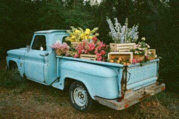 1964 Chevrolet C/K Truck