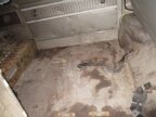 Thumbnail Photo 4 for 1964 Chevrolet Corvair Greenbrier