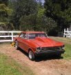 Thumbnail Photo 1 for 1964 Chevrolet Nova