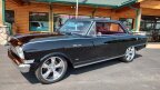 Thumbnail Photo 6 for 1964 Chevrolet Nova