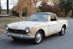 Thumbnail Photo 1 for 1964 FIAT 1500