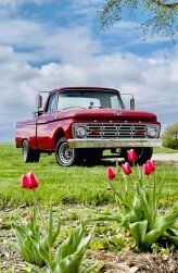 1964 Ford F100 Custom