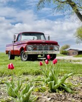1964 Ford F100 Custom