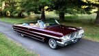 Thumbnail Photo 1 for 1964 Ford Galaxie