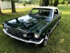 Thumbnail Photo 6 for 1964 Ford Mustang