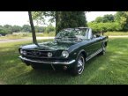 Thumbnail Photo 1 for 1964 Ford Mustang