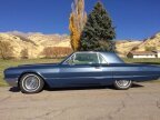 Thumbnail Photo 1 for 1964 Ford Thunderbird