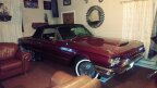 Thumbnail Photo 1 for 1964 Ford Thunderbird