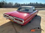Thumbnail Photo 6 for 1964 Ford Thunderbird
