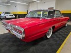Thumbnail Photo 4 for 1964 Ford Thunderbird
