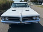 Thumbnail Photo 3 for 1964 Pontiac GTO