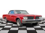 Thumbnail Photo 1 for 1964 Pontiac GTO