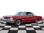 Thumbnail Photo 4 for 1964 Pontiac GTO