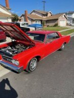 Thumbnail Photo 5 for 1964 Pontiac GTO