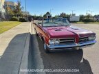 Thumbnail Photo 5 for 1964 Pontiac GTO