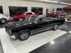 Thumbnail Photo 5 for 1964 Pontiac GTO