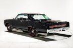 Thumbnail Photo 6 for 1964 Pontiac GTO