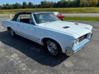 Thumbnail Photo 4 for 1964 Pontiac GTO