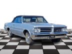 Thumbnail Photo 1 for 1964 Pontiac GTO