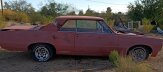 1964 Pontiac GTO