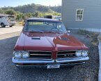 Thumbnail Photo 3 for 1964 Pontiac Le Mans