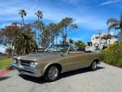 1964 Pontiac Le Mans